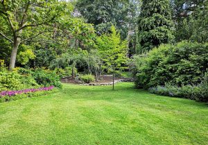 Optimiser l'expérience du jardin à Herpelmont